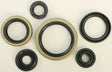 822127 Oil Seal Set - Kit