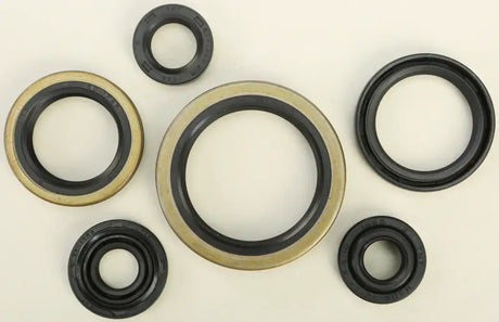 822127 Oil Seal Set - Kit