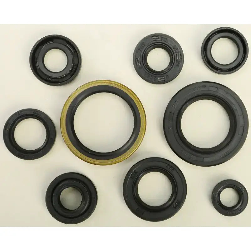 822131 Oil Seal Set - Kit
