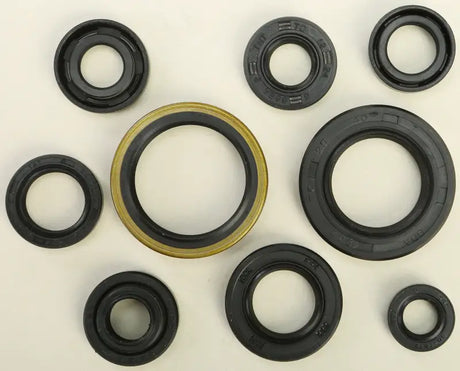 822131 Oil Seal Set - Kit