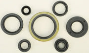 822134 Oil Seal Set - Kit