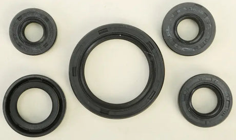 822136 Oil Seal Set - Kit