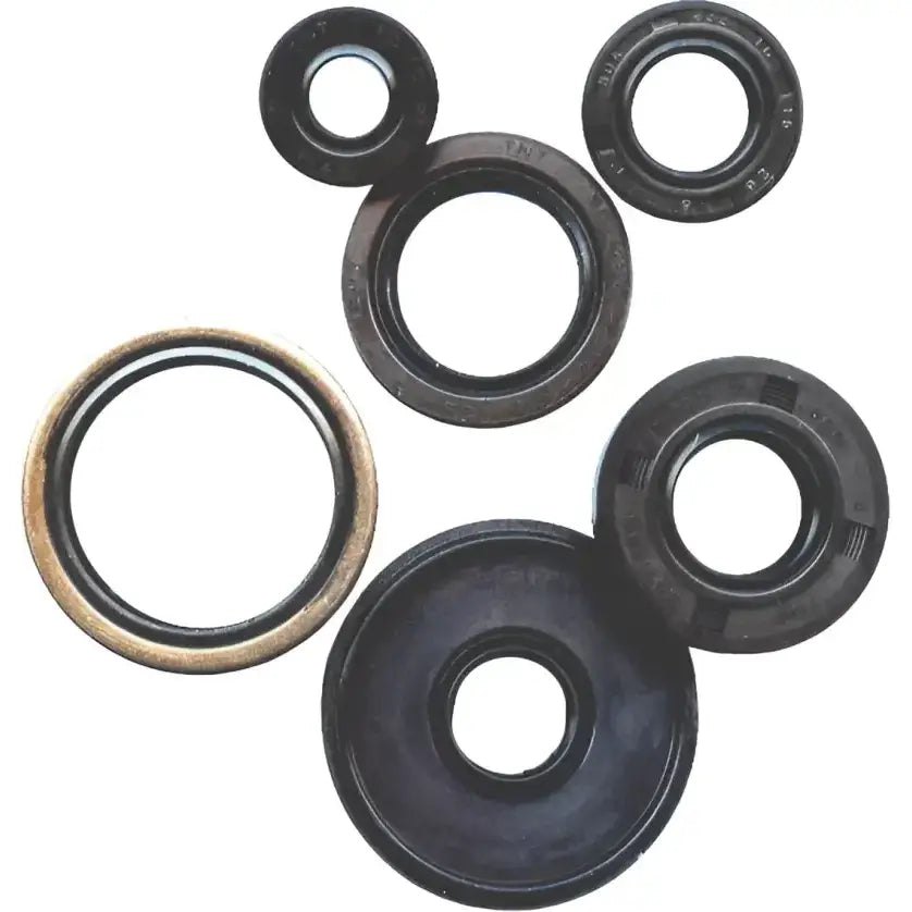 822149 Oil Seal Set - Kit