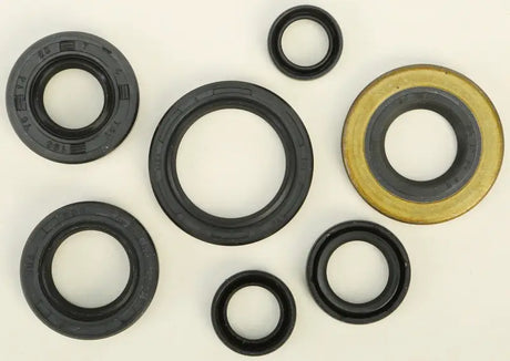 822160 Oil Seal Set - Kit
