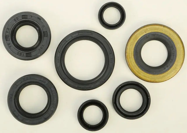822160 Oil Seal Set - Kit