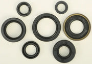 822161 Oil Seal Set - Kit
