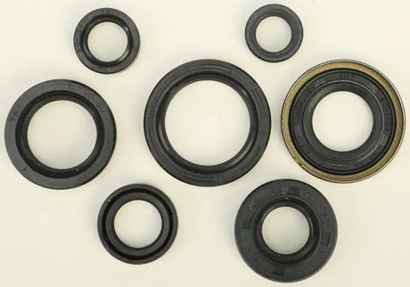 822161 Oil Seal Set - Kit