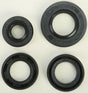 822162 Oil Seal Set - Kit