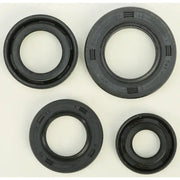 822163 Oil Seal Set - Kit