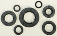 822164 Oil Seal Set - Kit