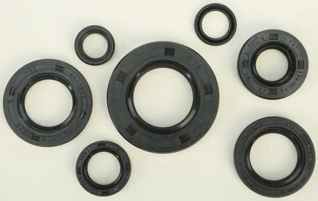 822164 Oil Seal Set - Kit