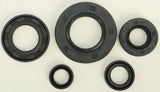 822165 Oil Seal Set - Kit
