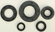 822165 Oil Seal Set - Kit