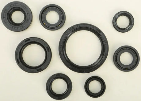 822167 Oil Seal Set - Kit