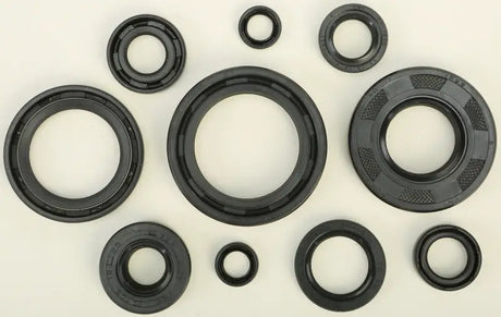 822172 Oil Seal Set - Kit