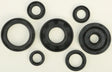 822173 Oil Seal Set - Kit