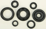 822173 Oil Seal Set - Kit