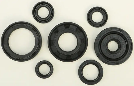 822173 Oil Seal Set - Kit