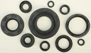 822174 Oil Seal Set - Kit
