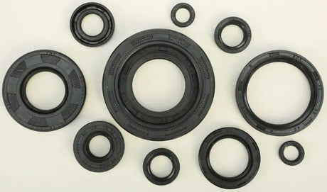822174 Oil Seal Set - Kit