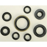 822175 Oil Seal Set - Kit