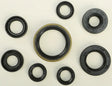 822175 Oil Seal Set - Kit