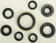 822175 Oil Seal Set - Kit