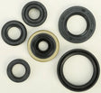 822176 Oil Seal Set - Kit