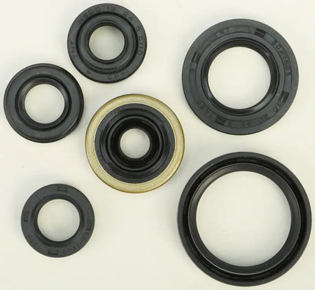 822176 Oil Seal Set - Kit