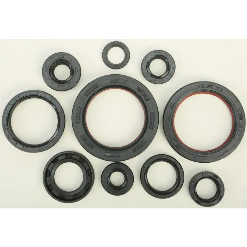 822178 Oil Seal Set - Kit