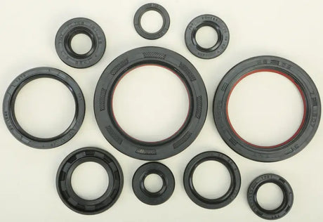 822178 Oil Seal Set - Kit