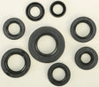 822181 Oil Seal Set - Kit