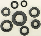 822181 Oil Seal Set - Kit