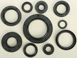822182 Oil Seal Set - Kit