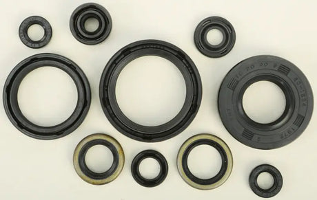 822183 Oil Seal Set - Kit