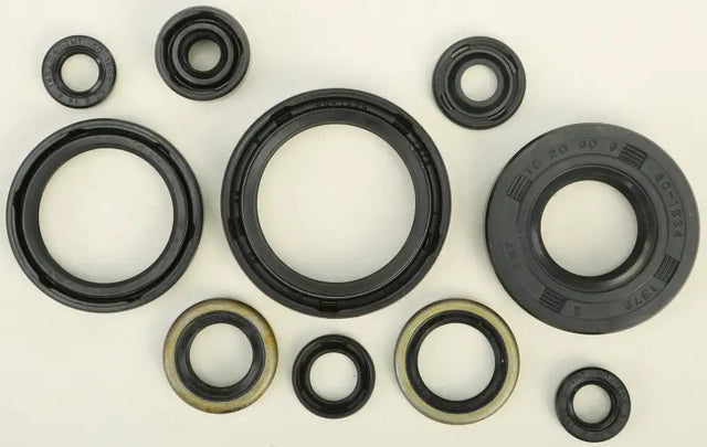 822183 Oil Seal Set - Kit