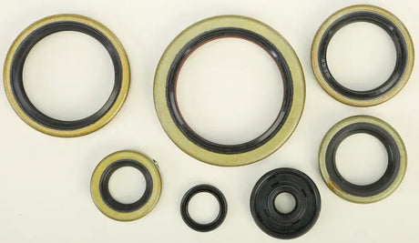 822192 Oil Seal Set - Kit