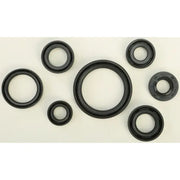 822193 Oil Seal Set - Kit