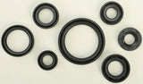 822193 Oil Seal Set - Kit