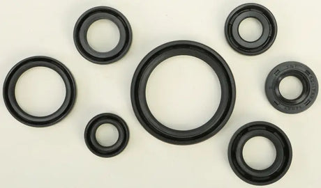 822193 Oil Seal Set - Kit