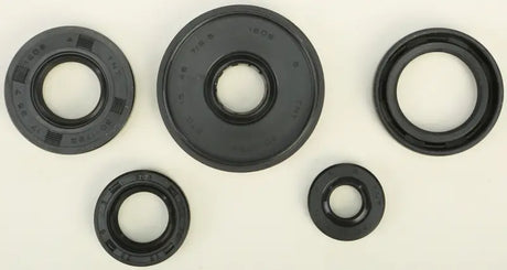 822196 Oil Seal Set - Kit