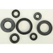 822197 Oil Seal Set - Kit