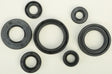 822197 Oil Seal Set - Kit