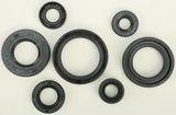 822197 Oil Seal Set - Kit