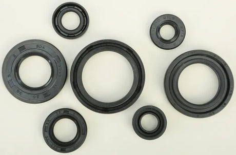 822197 Oil Seal Set - Kit