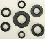 822219 Oil Seal Set - Kit