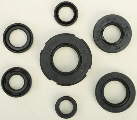 822219 Oil Seal Set - Kit