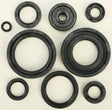 822221 Oil Seal Set - Kit