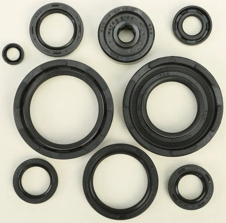 822221 Oil Seal Set - Kit