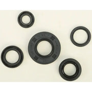 822222 Oil Seal Set - Kit